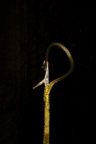 POLE POSITION Heavy Shield Hollow Core 45m/75lb