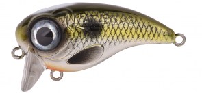 SPRO Fat Iris 5cm Shad