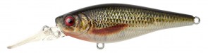 SPRO Ikiru Shad 70LL Zander